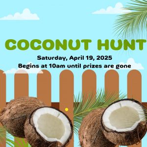 Coconut Barrel - The Artisan Market:  Coconut Hunt