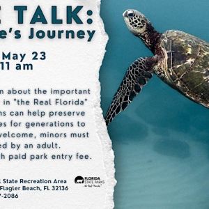 Gamble Rogers Memorial State Recreation Area at Flagler Beach: Turtle Talk