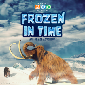 Jacksonville Zoo and Gardens: Frozen in Time - An Ice Age Adventure