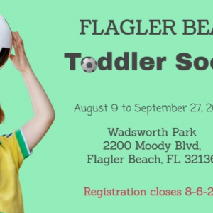 Flagler Beach Toddle Soccer