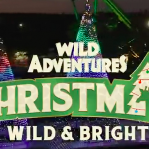Wild Adventures Theme Park:  Christmas Wild and Bright