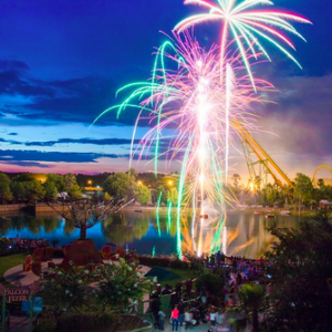 Wild Adventures Theme Park: New Years Eve Fireworkd Spectacular