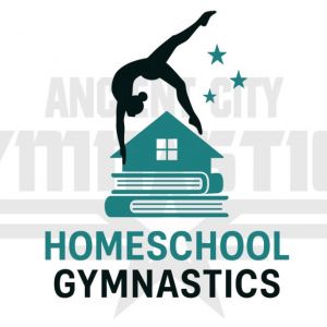 Ancient City Gymnastics: Homeschool Gymnastics Classes