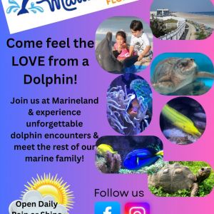 Marineland Dolphin Adventure: Last Days of Summer  Radio Discount
