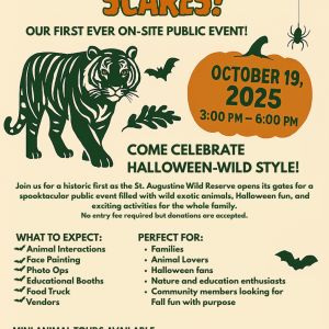 St. Augustine Wild Reserve: Lions, Tigers, and Scares!