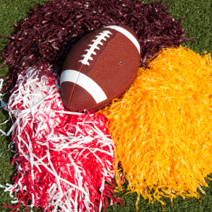 St. Johns County Parks and Recreation: Cheer Clinic