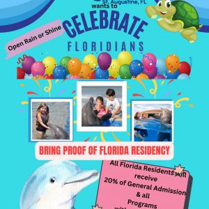 Marineland Dolphin Adventure Deal