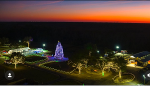 Ancient City Farmstead: Christmas Experience