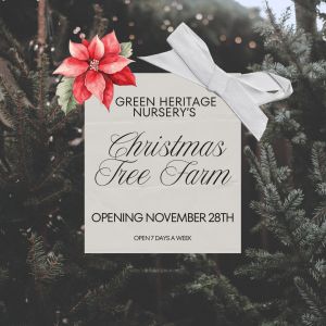 Green Heritage Nursery: Christmas Tree Farm