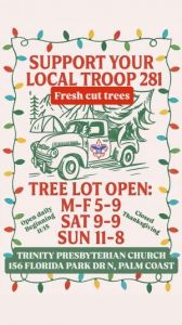 Troop 281 Palm Coast: Christmas Tree Lot