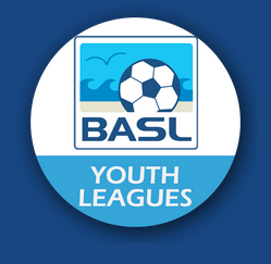 Beaches Adult Soccer League: Village Soccer Youth Leagues