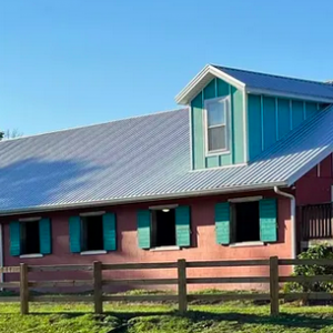 Good Beginning Riding Centre, The