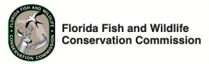 Florida Fish and Wildlife Conservaion Commission: Junior Hunter Safety Program
