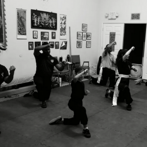 Nan Bei Chuan Chinese Martial Arts
