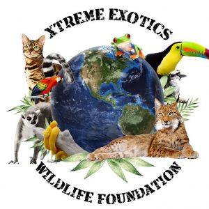 Xtreme Exotics Wildlife Foundation