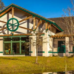 St. Johns County Public Library: Bartram Trail Branch: Earth Day Art Bash