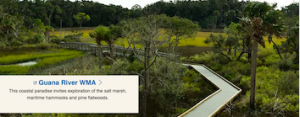 Guana River Wildlife Management Area