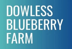 Dowless Blueberry Farm