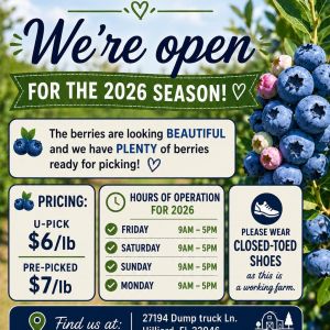 Rader's Blueberries
