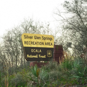 Silver Glen Springs Recreation Area