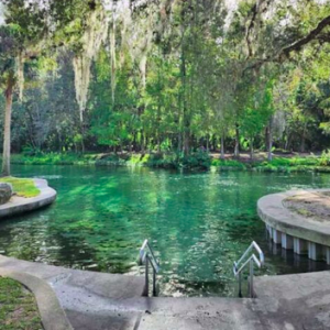 Kelly Park and Rock Springs
