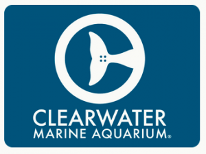 Clearwater Marine Aquarium