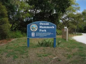 Ocean Hammock Park