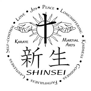 Shinsei Martial Arts: Birthday Parties