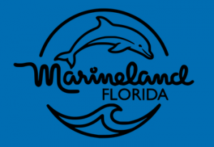 Marineland Dolphin Adventure: Special Occasion