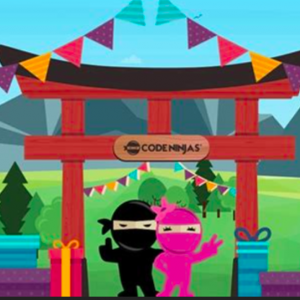 Code Ninjas