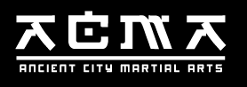 Ancient City Martial Arts: Birthday Parties