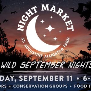 St. Augustine Alligator Farm Zoological Park: Night Market