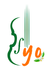Flagler Schools: Flagler Youth Orchestra