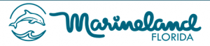 Marineland Dolphin Adventure