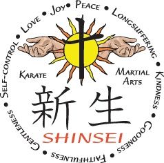 Shinsei Martial Arts and Fitness Center: After School Care