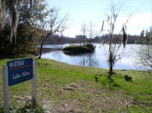 Lake Alice