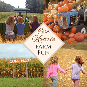 Farm Fun