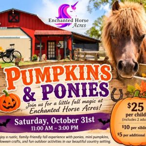 Pumpkins & Ponies