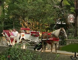 St. Augustine Horse & Carriage