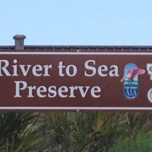River to Sea Preserve