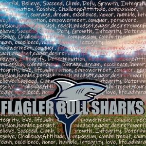 Flagler Bull Sharks