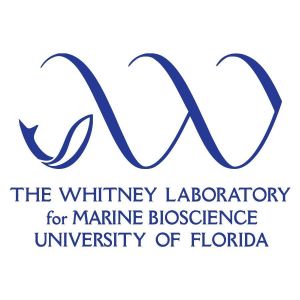 Whitney Laboratory for Marine Biology, University of Florida, Summer Camps