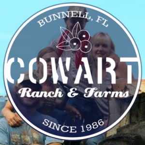 Cowart Ranch and Farms-U-Pick Blueberries